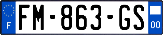FM-863-GS