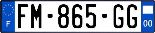 FM-865-GG