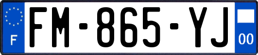 FM-865-YJ