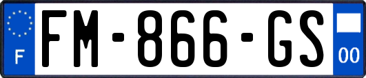 FM-866-GS