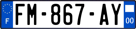 FM-867-AY