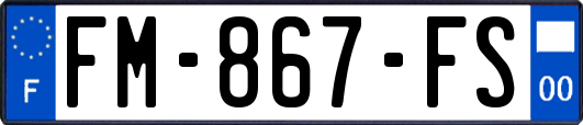 FM-867-FS