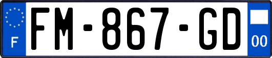 FM-867-GD