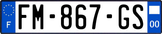 FM-867-GS