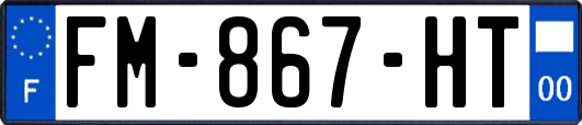 FM-867-HT