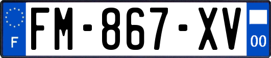 FM-867-XV