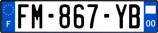 FM-867-YB