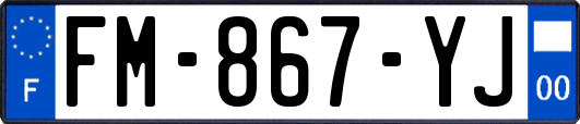 FM-867-YJ