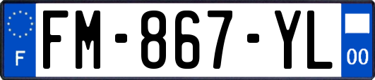 FM-867-YL