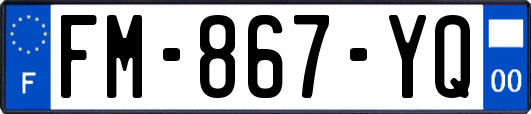 FM-867-YQ