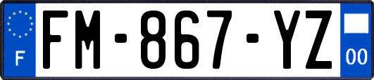 FM-867-YZ