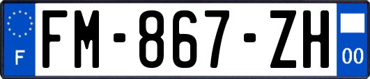FM-867-ZH