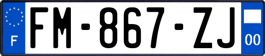 FM-867-ZJ