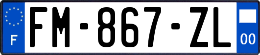 FM-867-ZL