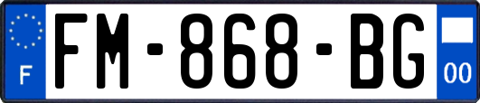 FM-868-BG