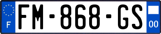FM-868-GS