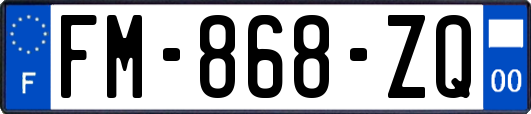 FM-868-ZQ