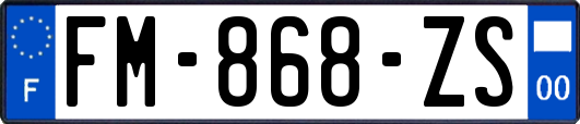 FM-868-ZS
