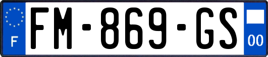 FM-869-GS
