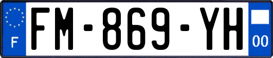 FM-869-YH
