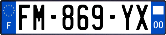 FM-869-YX