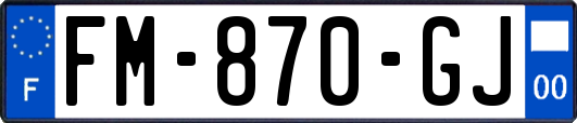 FM-870-GJ