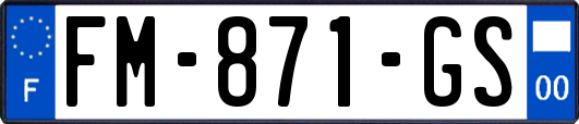 FM-871-GS