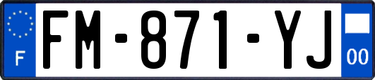 FM-871-YJ