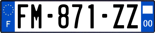 FM-871-ZZ