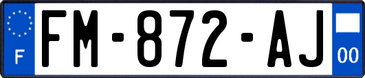 FM-872-AJ