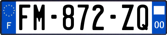 FM-872-ZQ