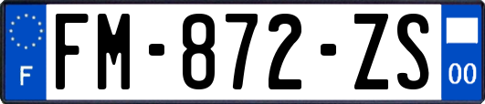 FM-872-ZS