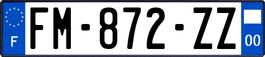 FM-872-ZZ