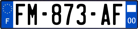 FM-873-AF