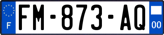 FM-873-AQ