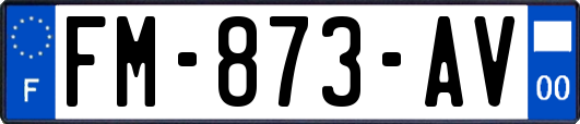 FM-873-AV