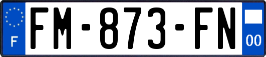 FM-873-FN
