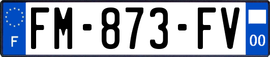 FM-873-FV