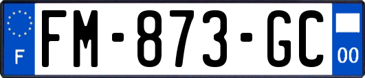 FM-873-GC