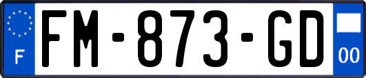 FM-873-GD