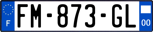 FM-873-GL