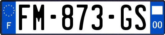 FM-873-GS