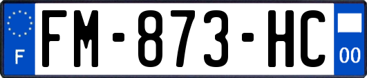 FM-873-HC