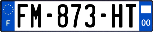 FM-873-HT