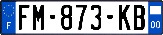 FM-873-KB