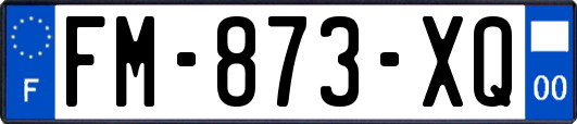 FM-873-XQ