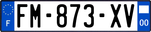 FM-873-XV