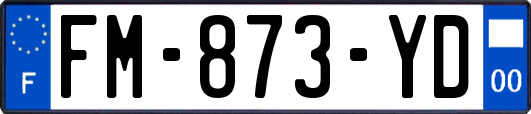 FM-873-YD