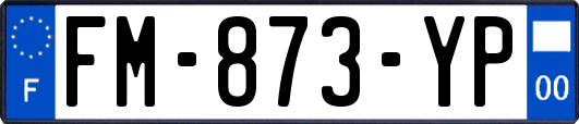 FM-873-YP