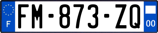 FM-873-ZQ